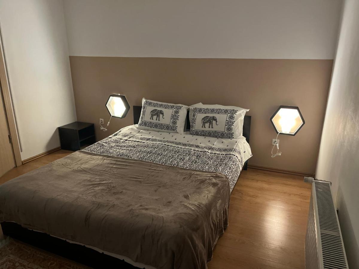 Appartement Anissia Apartament à Sinaia Extérieur photo