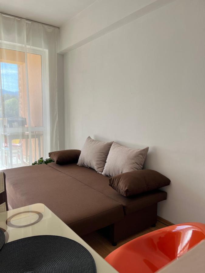 Appartement Anissia Apartament à Sinaia Extérieur photo